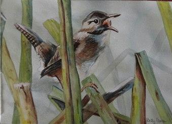 The Wren after S.D. Bourdet Painting by Betty-Anne McDonald