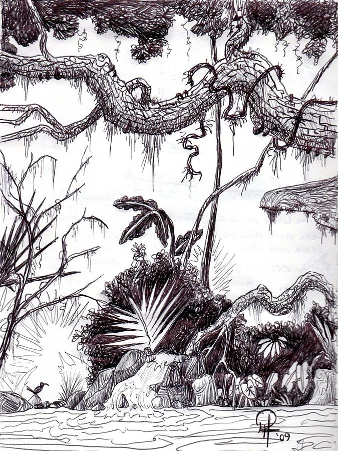 The Wren Jungle Drawing by Doug Hiser