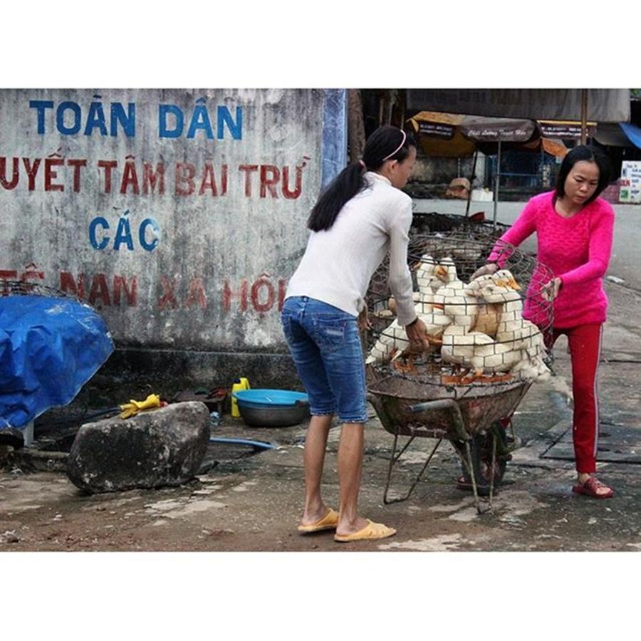 Vietnam Photograph - The Writing On The Wall Says;
”only by Jesper Staunstrup