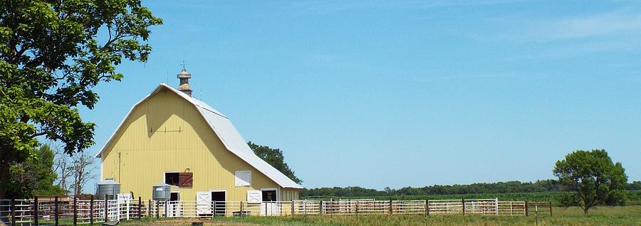 The YELLOW Barn Photograph by Caryl J Bohn