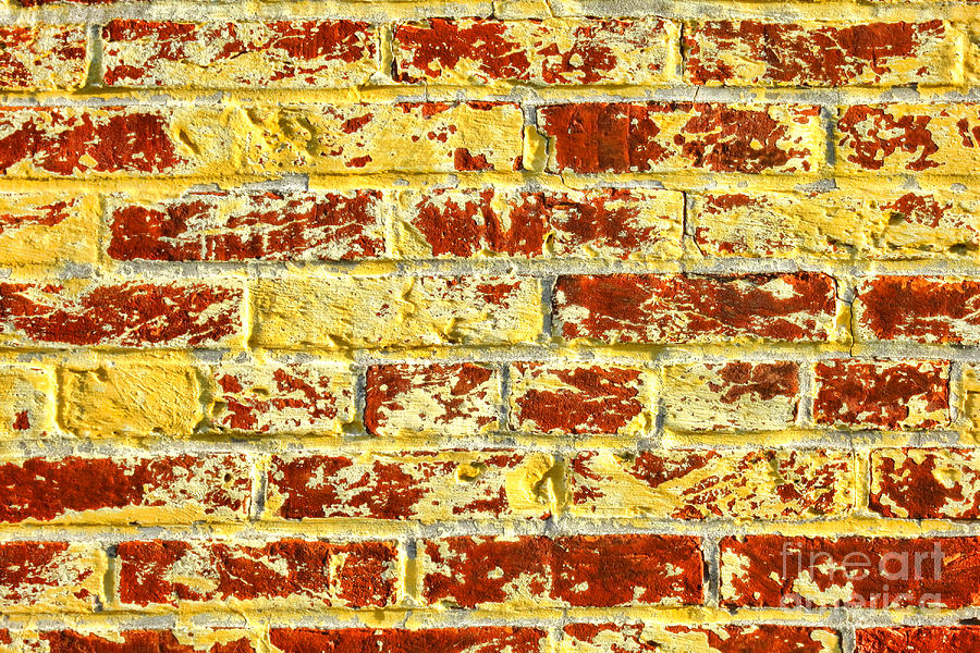 The Yellow Brick Wall Photograph by Olivier Le Queinec