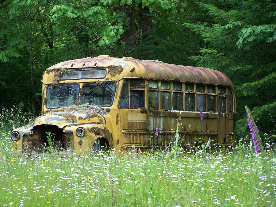 The Yellow Bus Photograph by Gene Ritchhart