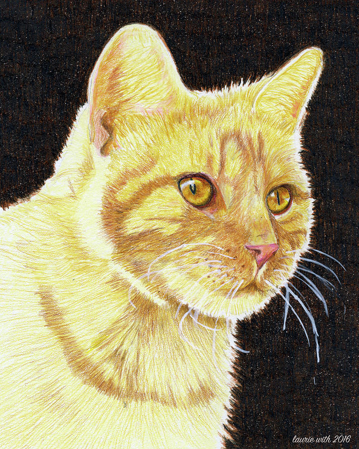 The Yellow Cat Drawing by Laurie With | Pixels