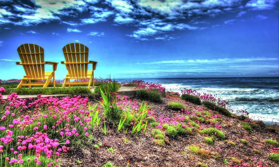 Flower Photograph - Chairs By The Sea  by Thom Zehrfeld