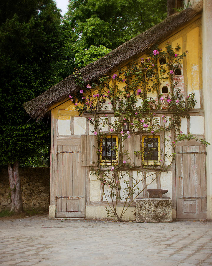 The Yellow Cottage Photograph by Studio Yuki