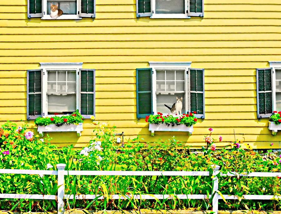 The Yellow House Photograph by Diana Angstadt