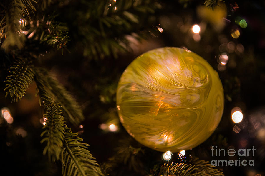 The Yellow Ornament Photograph by Lynn Sprowl