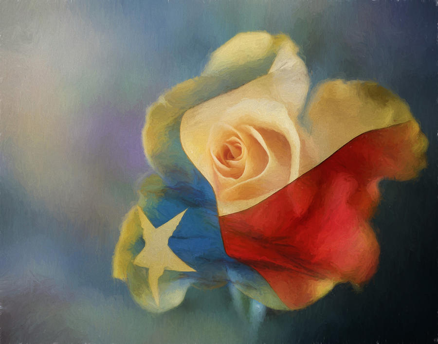 The Yellow Rose of Texas Photograph by David and Carol Kelly