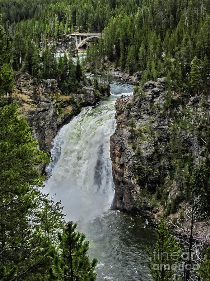 The Yellowstone Upper Falls Photograph by Robert Bales
