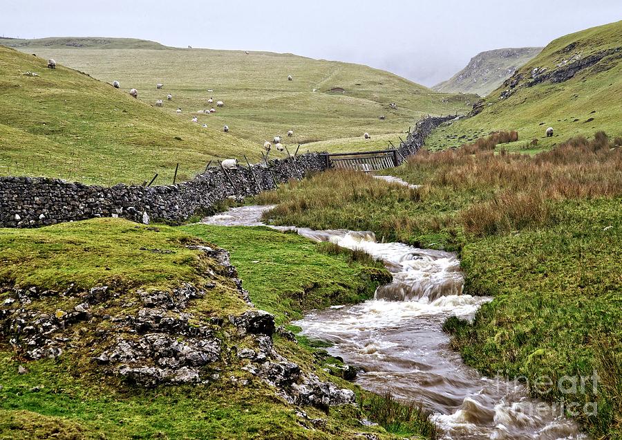 The Yorkshire Dales Photograph by Martyn Arnold