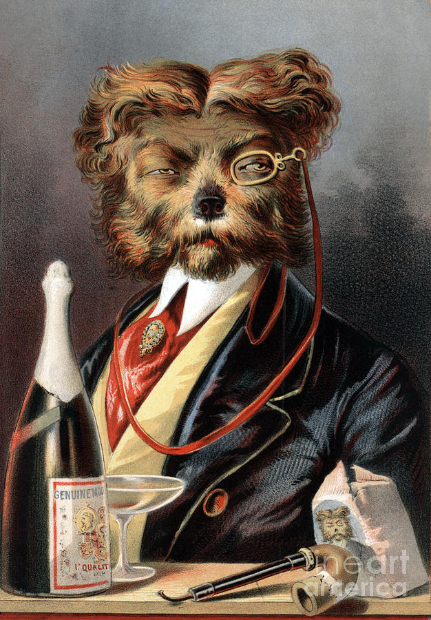 The Young Swell Aristocratic Dog 1869 Photograph by Science Source