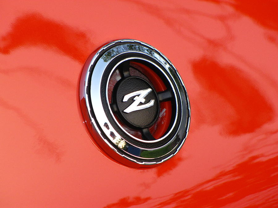 Z Photograph - The Z by Gary Adkins