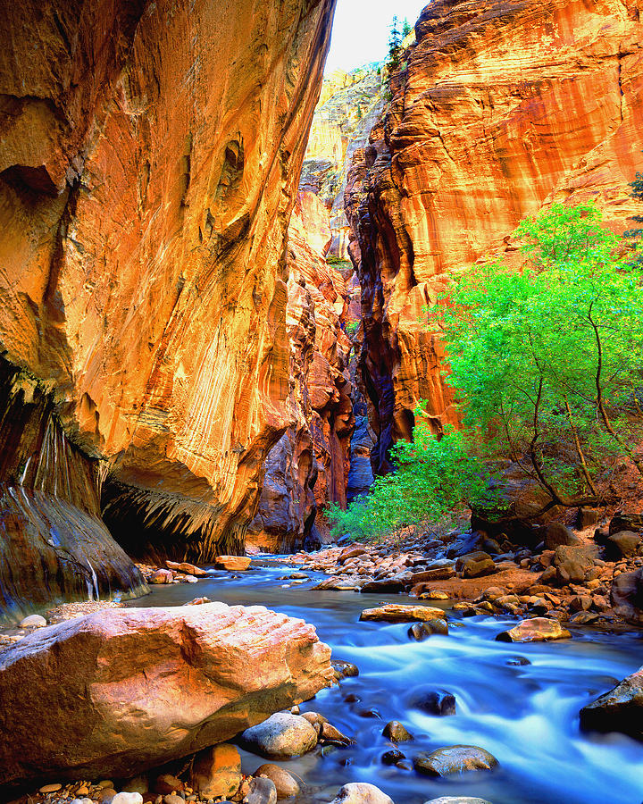 The Zion Narrows Photograph by Frank Houck