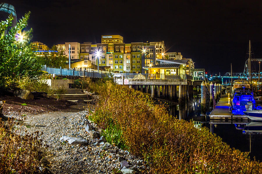 Architecture Photograph - Thea Landing and Marina Lights by Rob Green