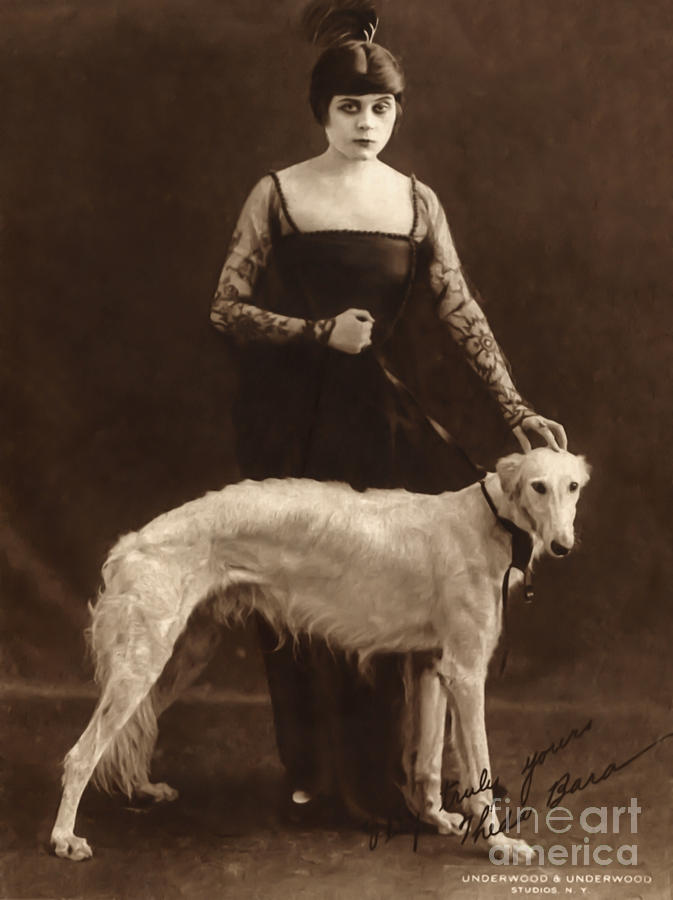 Theda Bara with Russian Greyhound 1916 Photograph by Sad Hill - Bizarre Los Angeles Archive