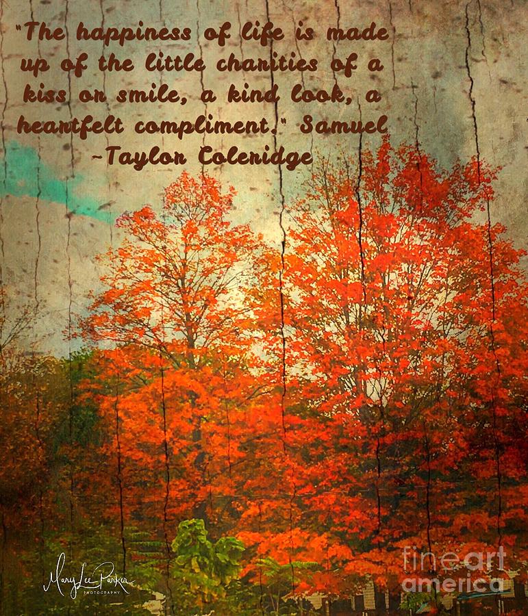 The Happiness Of Life By Taylor Coleridge Photograph by MaryLee Parker