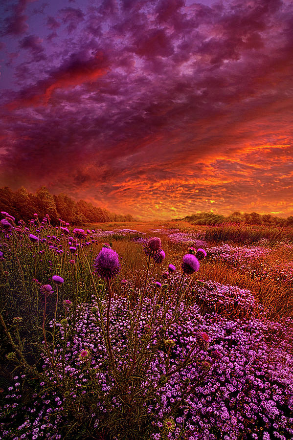 Then Ever Been Lifted Before Photograph by Phil Koch