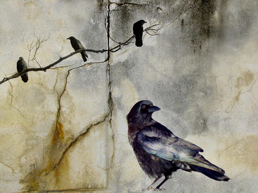 Then There Were Four Crows Mixed Media by Gothicrow Images - Fine Art ...