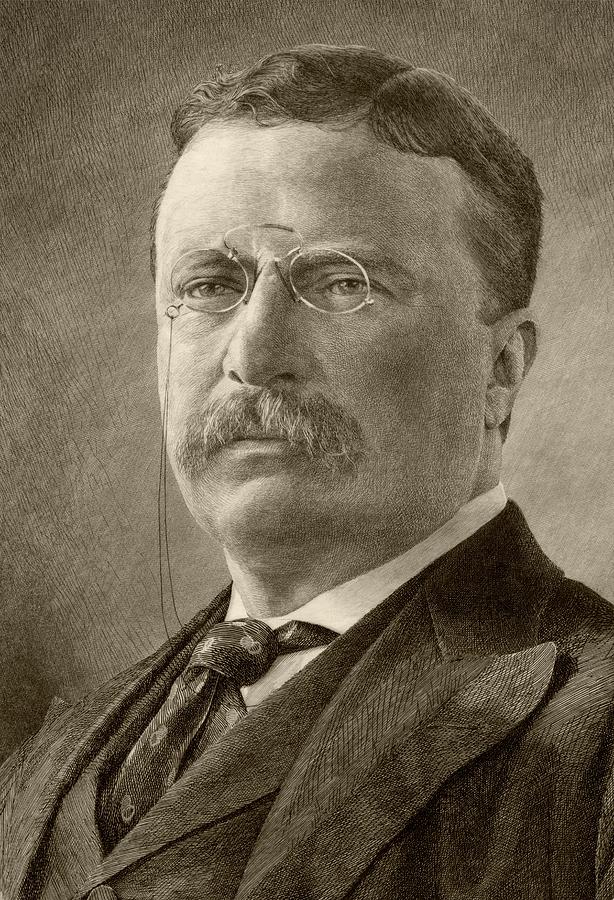 Theodore D. Roosevelt, 1858 To 1919 Drawing by Vintage Design Pics