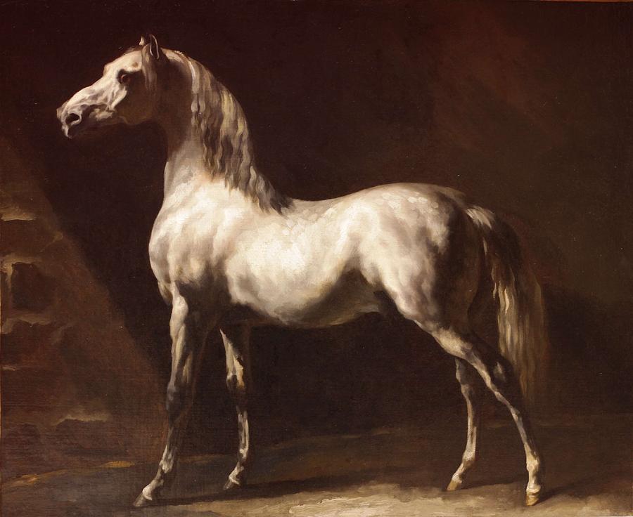 Black /& White Arabian Stallion Picture Poster Horse Animal Art Framed Print