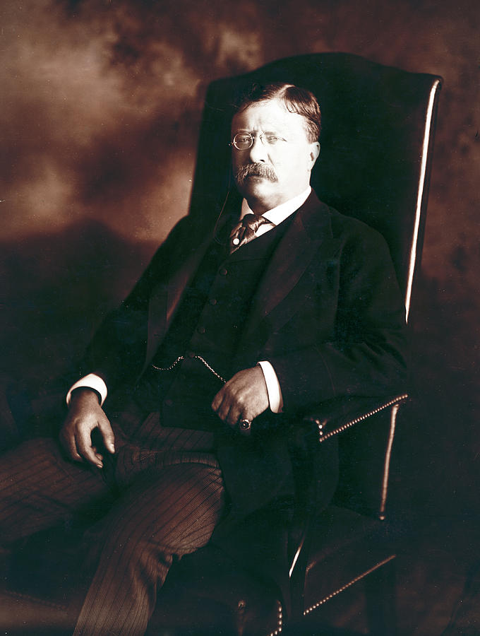 Theodore Roosevelt - President of the United States  Photograph by International  Images
