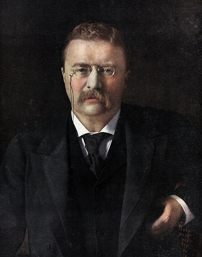 Theodore Roosevelt Painting - Theodore Roosevelt by American School