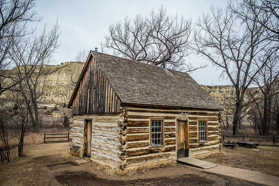 Theodore Roosevelt Cabin Side Photograph by Paul Freidlund