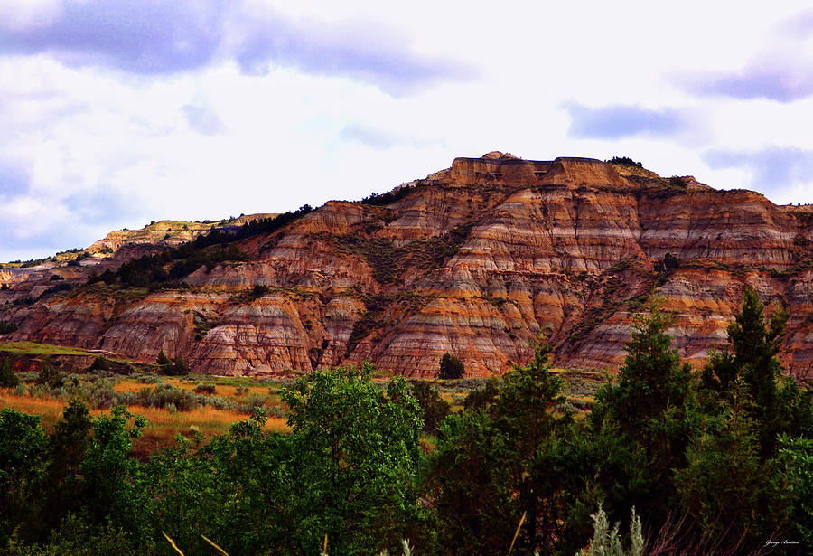 Theodore Roosevelt National Park 010 Photograph by George Bostian
