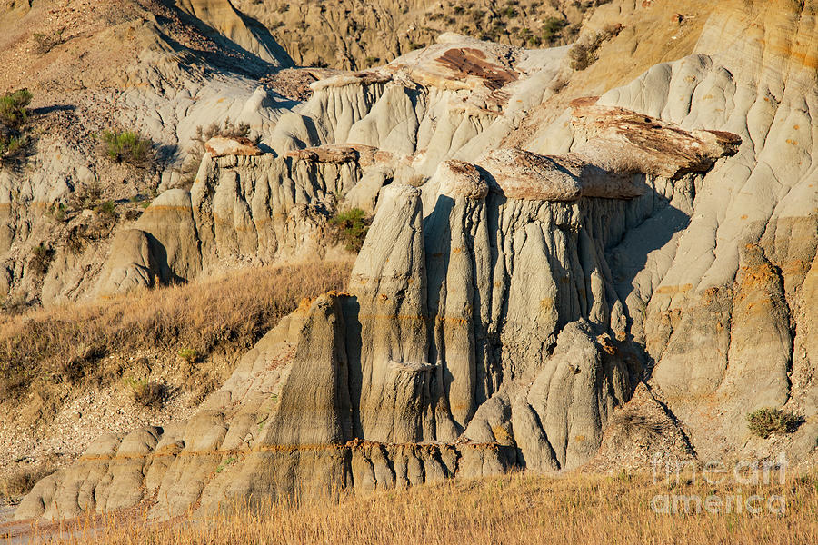 Theodore Roosevelt National Park Landscape Eight Photograph by Bob Phillips