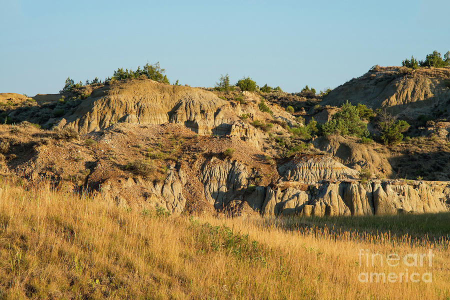 Theodore Roosevelt National Park Landscape Six Photograph by Bob Phillips