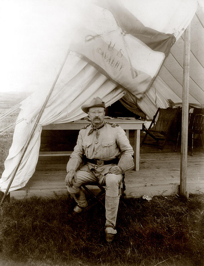 Theodore Roosevelt, Seated At Entrance Photograph by Everett Theodore Roosevelt, Seated At Entrance Photograph by Everett