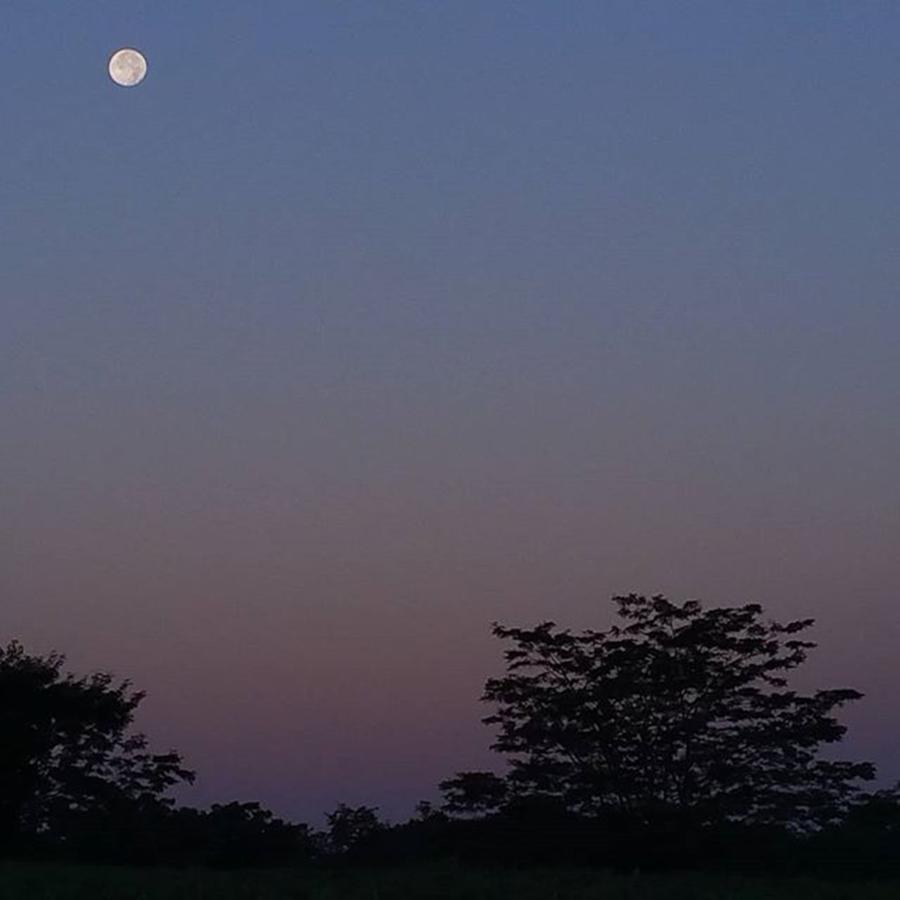 Landscape Photograph - #theoriginalgoodnitemoon #moon by Angela Curtis