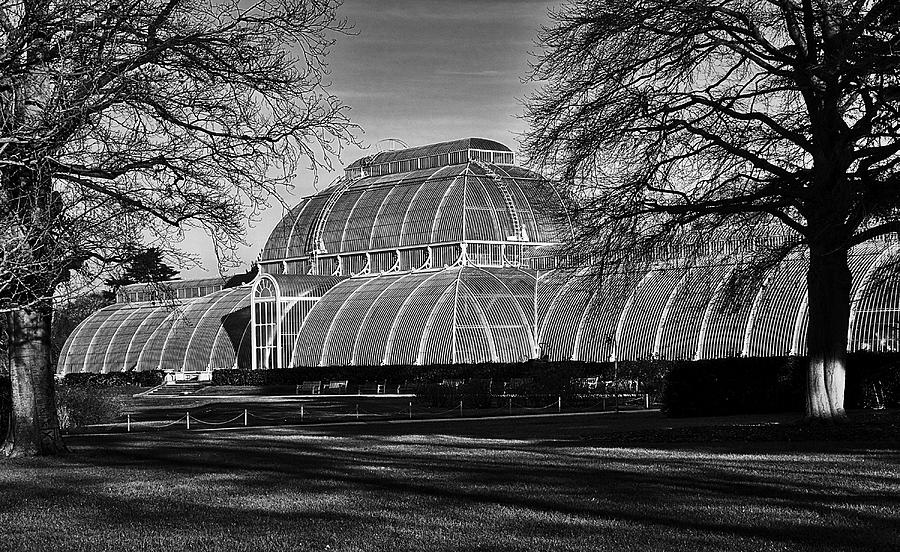 Greenhouse Photograph - The Greenhouse at Kew by David Resnikoff
