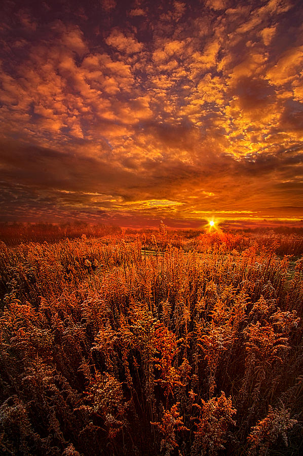 There is no sign to say You Have Arrived Photograph by Phil Koch