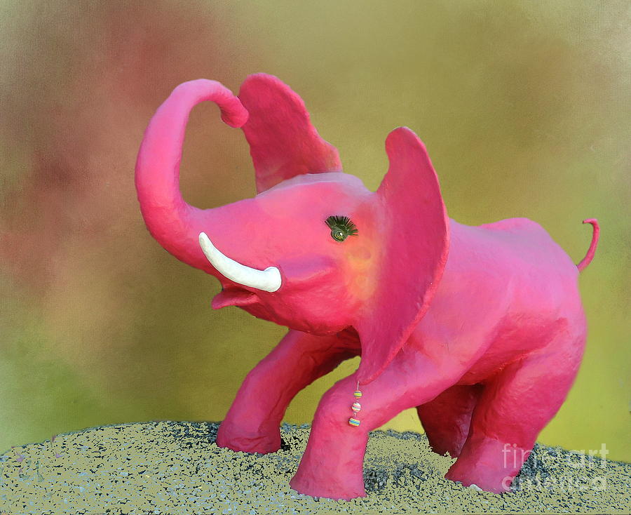 pink elephant care bear