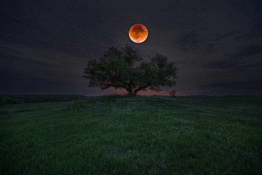 Bloodmoon Photograph - There Will Be Blood by Aaron J Groen
