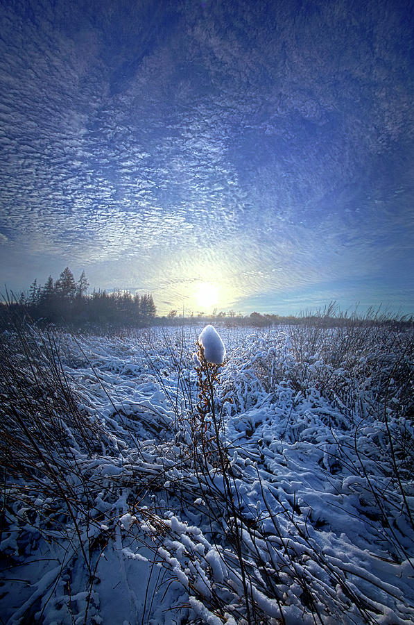 Therefore We Do Not Lose Heart Photograph by Phil Koch