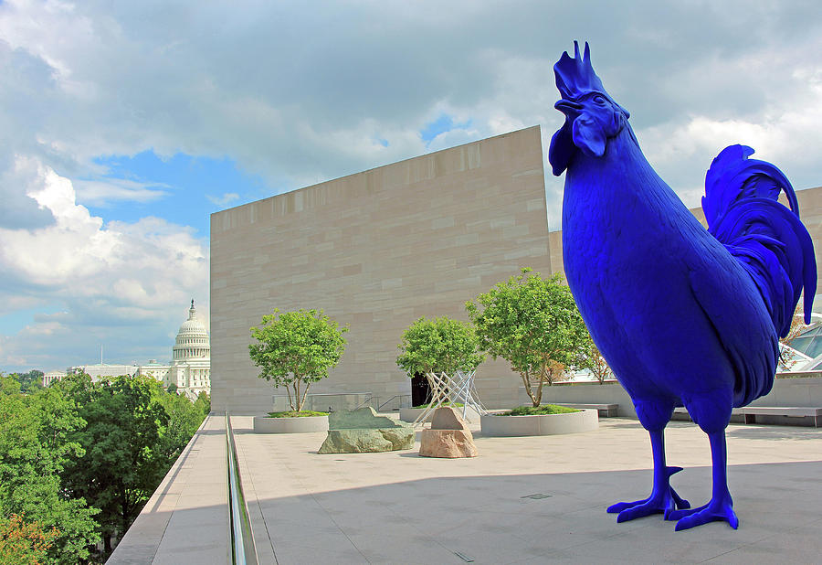 Theres A Blue Chicken On The Rooftop Of The National Gallery Of Art Photograph by Cora Wandel