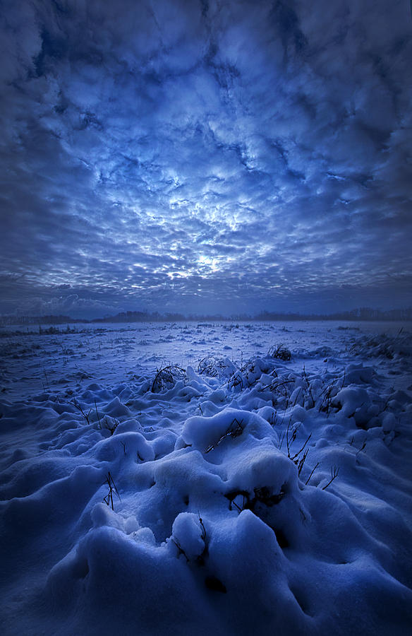 Winter Photograph - Theres No Point Escaping by Phil Koch