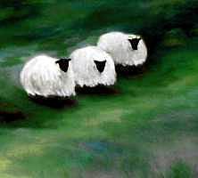 Landscape Painting - These Three Sheep by Elaine Cummins