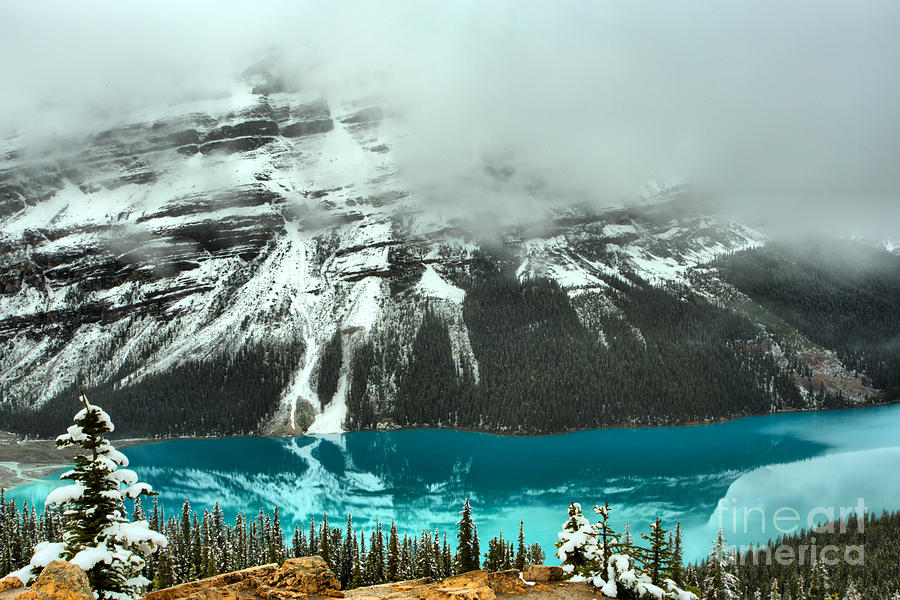 Thick Fog Over Peyto Lake Photograph by Adam Jewell