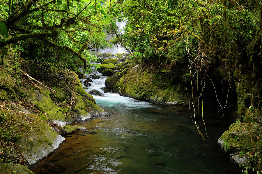 Thick tropical rainforest jungle and stream with waterfall at Po