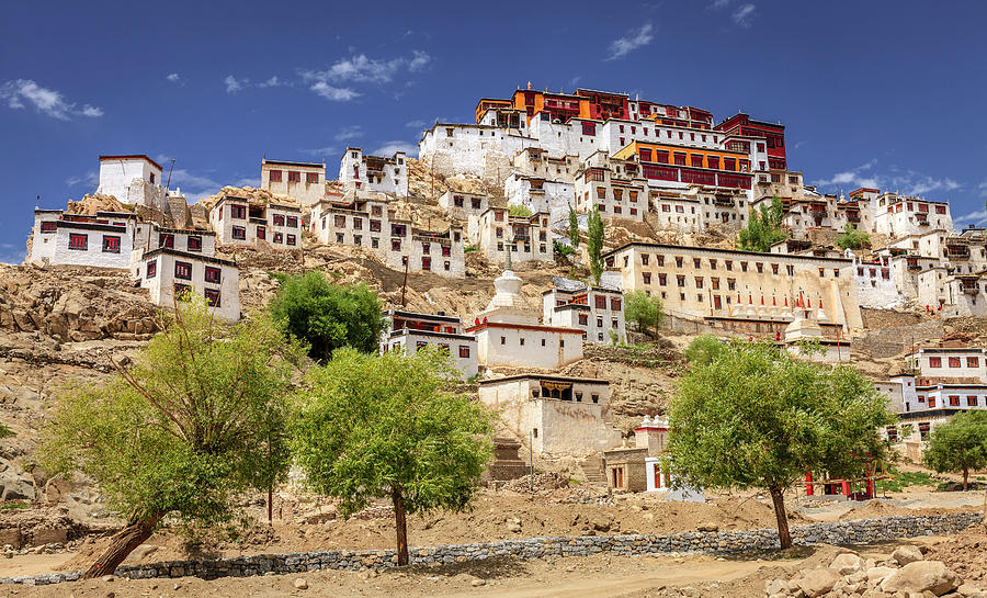 Thikse Monastery Photograph by Alexey Stiop