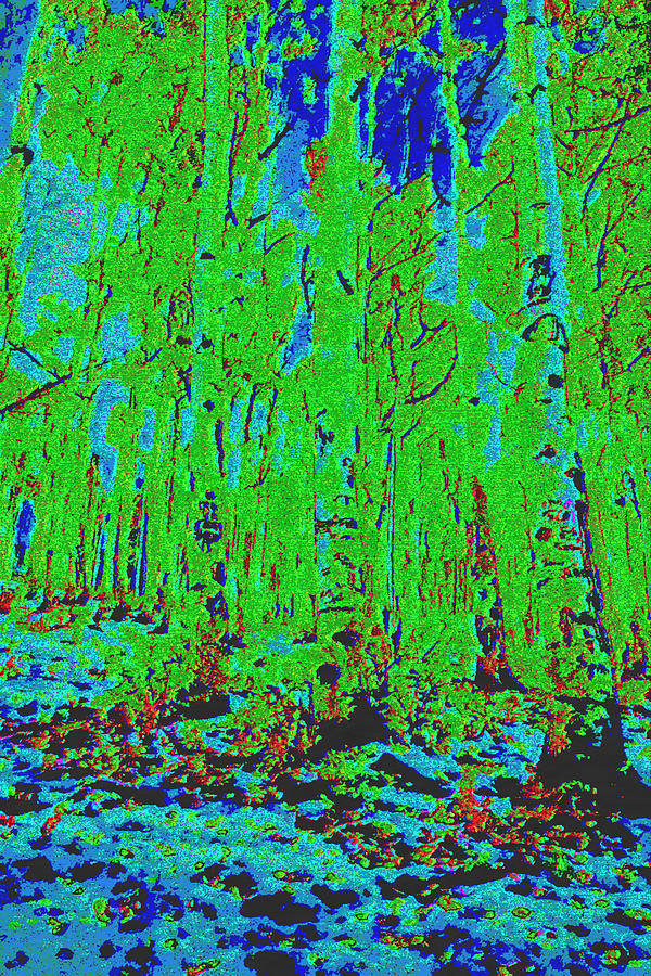 Thin Trees d2 Digital Art by Modified Image - Fine Art America