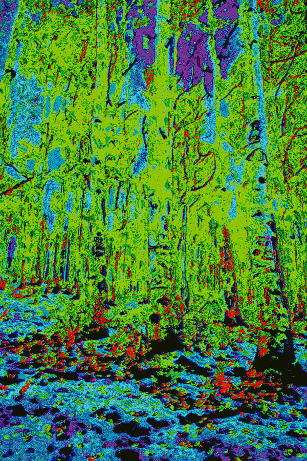 Thin Trees d5b Digital Art by Modified Image - Fine Art America
