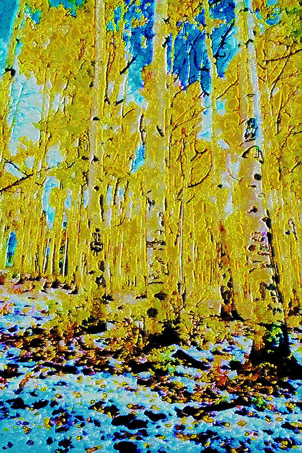 Thin Trees sc3a Digital Art by Modified Image - Fine Art America
