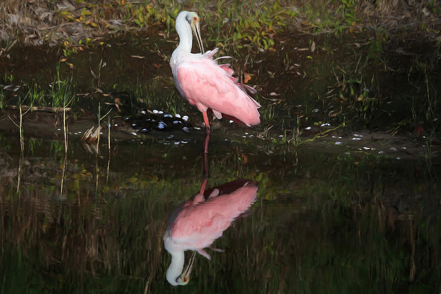 Think Pink Photograph by Donna Kennedy
