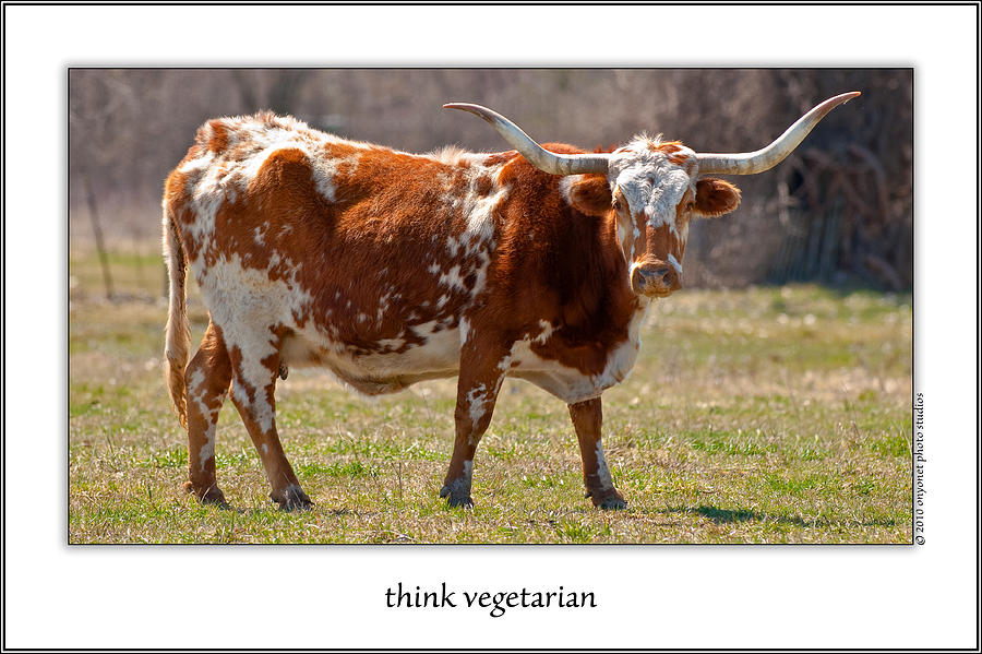 Think Vegetarian Photograph by Onyonet Photo studios