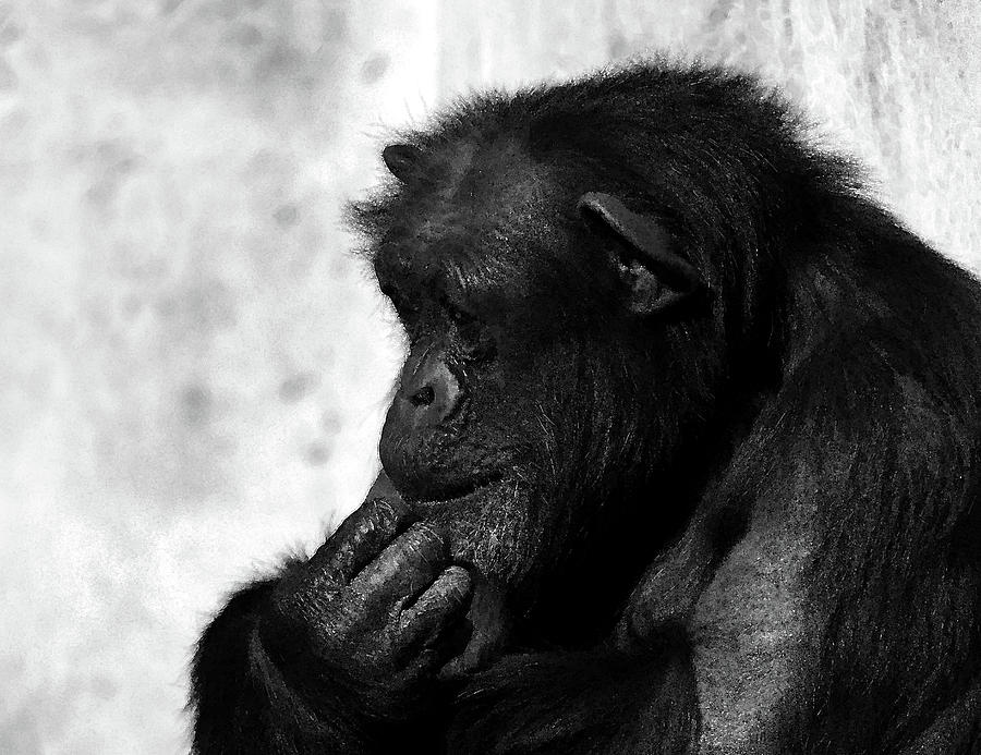 Thinker Photograph by Travis Hise - Fine Art America