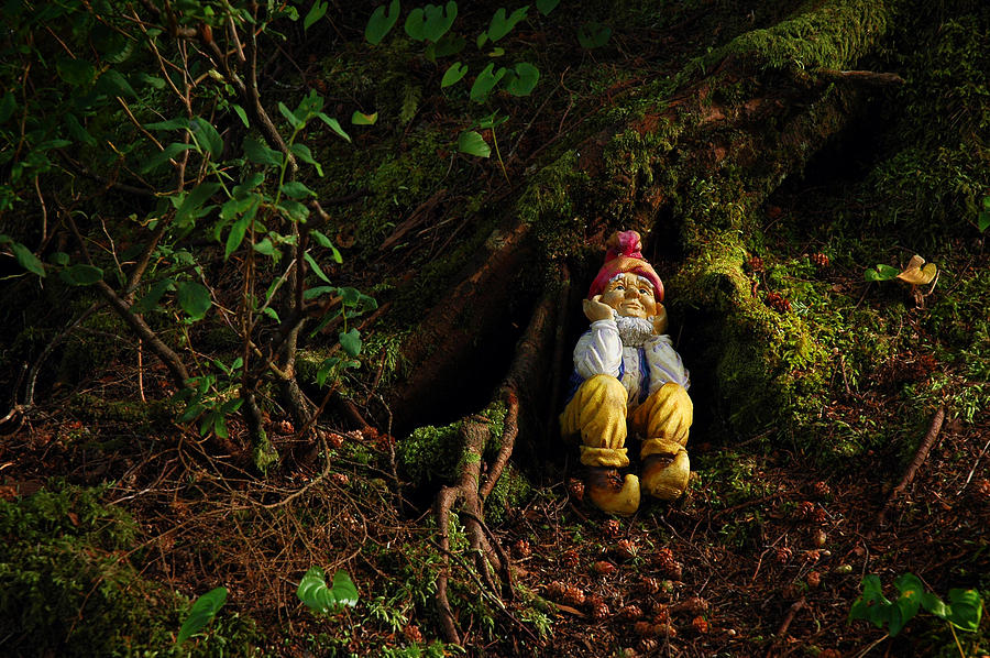 Thinking Gnome Photograph by Harry Spitz